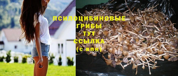 мдпв Балабаново