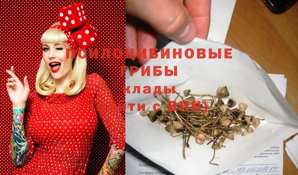 хмурый Балахна