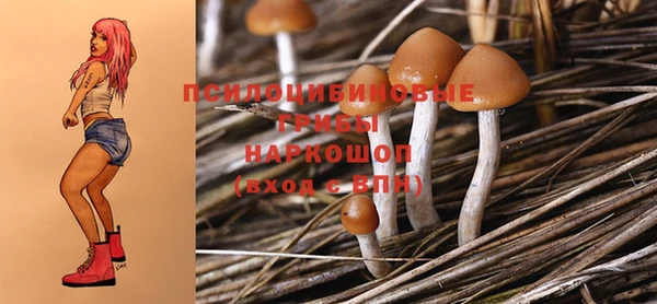 мдпв Балабаново
