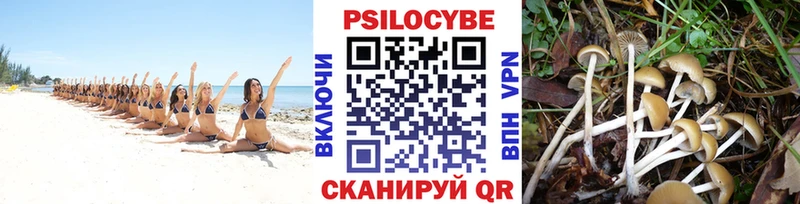 Купить закладки  Еманжелинск  Псилоцибиновые грибы GOLDEN TEACHER 